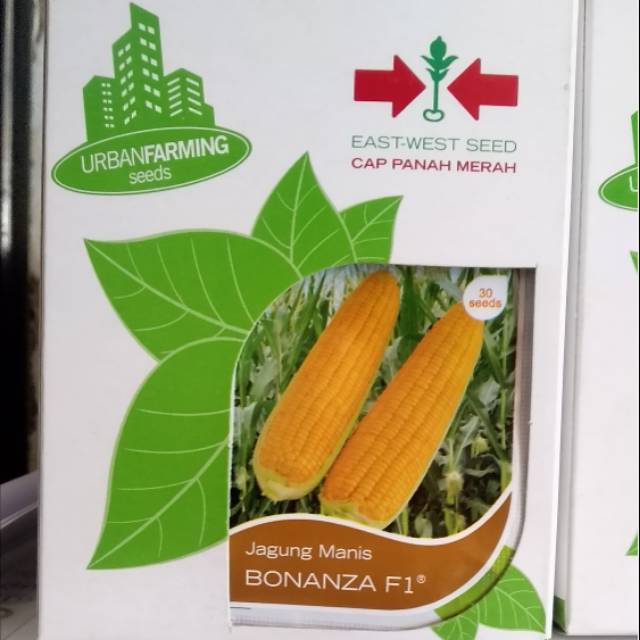 Benih Bibit Jagung  Manis BONANZA F1 Cap Panah Merah 