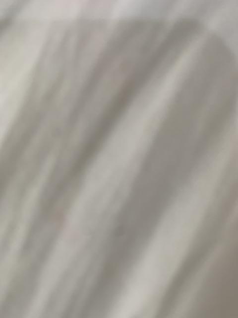 Pressure Sprayer 5 Liter Semprotan Disinfektan