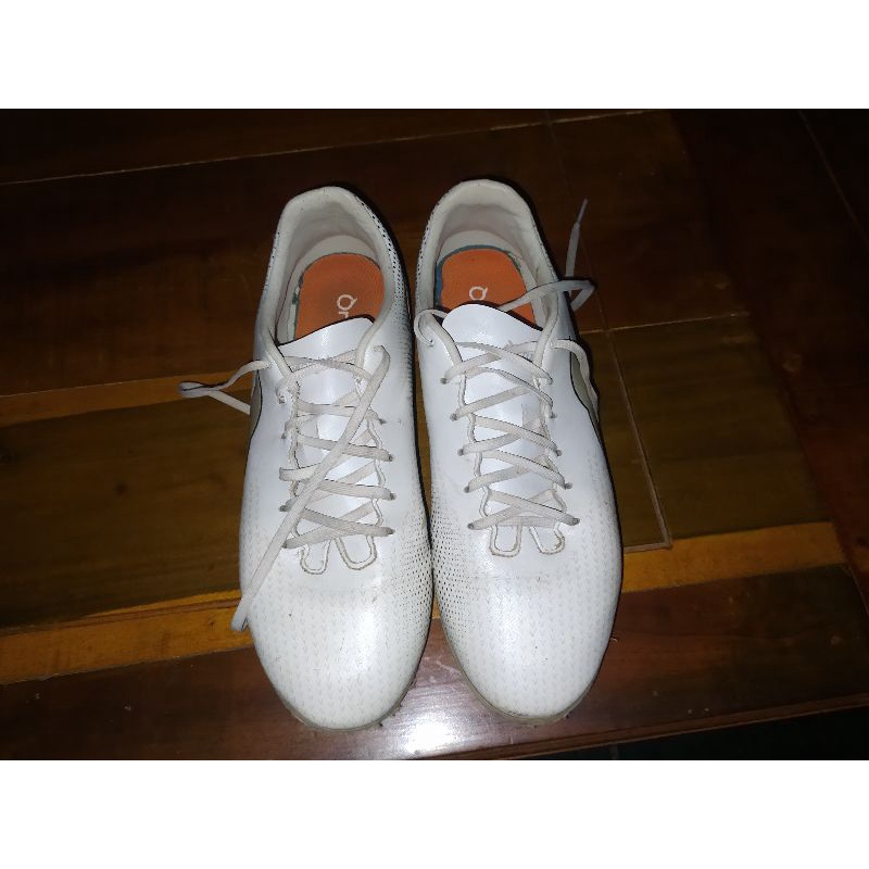 Ortuseight Solaris fg second