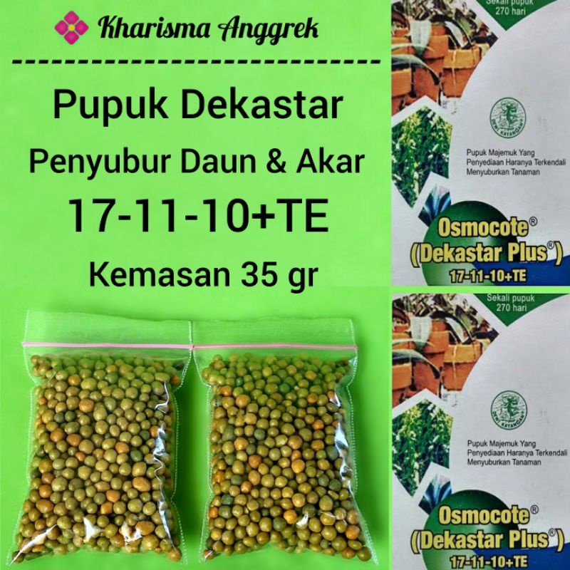 Pupuk Osmocote Dekastar Penyubur Daun & Akar untuk Anggrek Aglaonema Anthurium Bonsai Monstera Philo
