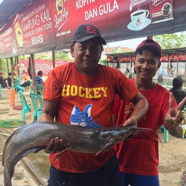 Essen Ikan King Size | Esen Ikan Lele Lomba Galatama Bombastis