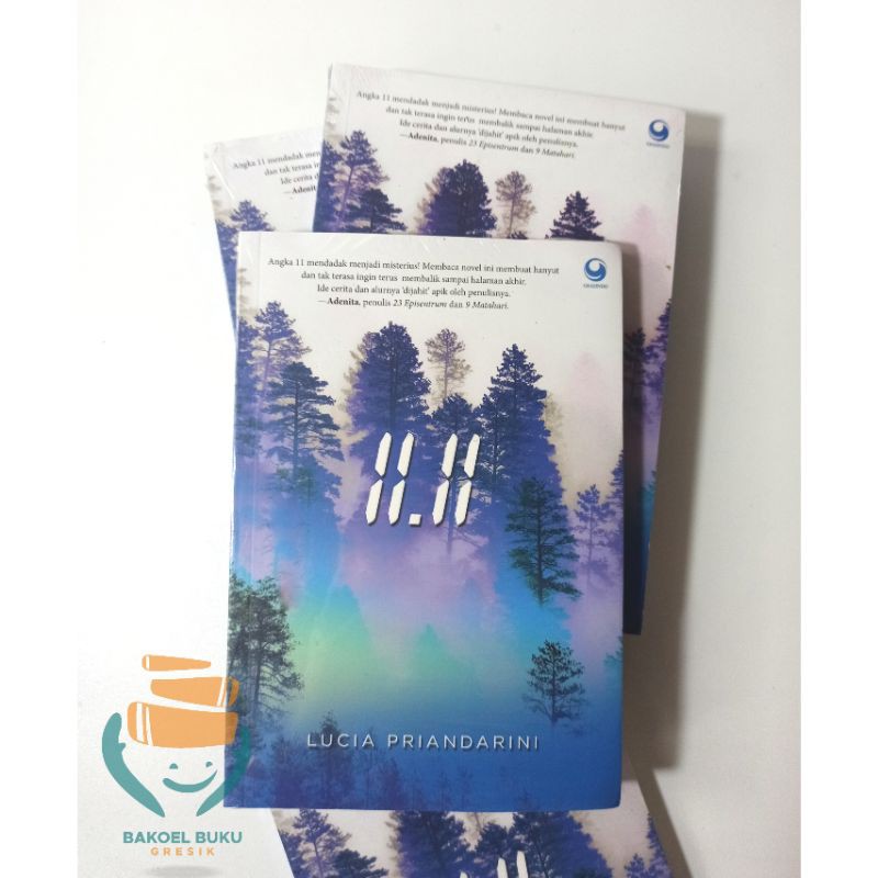 Novel | 11.11 | Lucia Priandarini