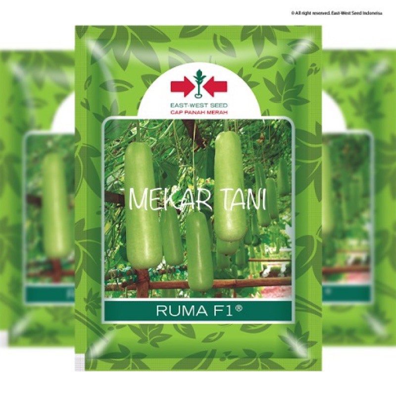 Benih Labu Air Ruma F1