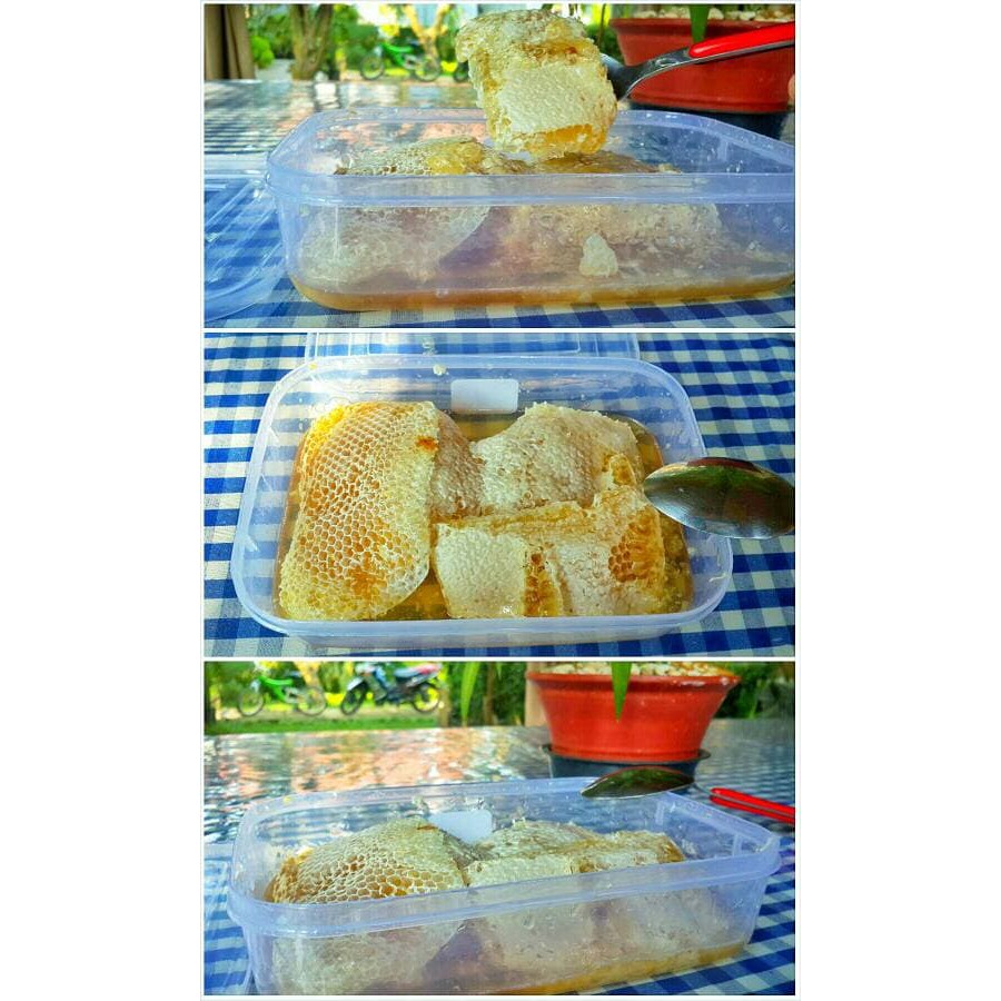 

Madu Plus Sarang Lebah Asli