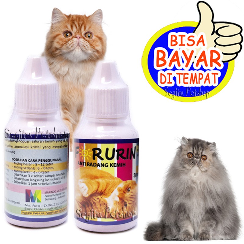 Obat Kucing Urinary Radang Kemih Susah Kencing Sembelit For Urin Shopee Indonesia