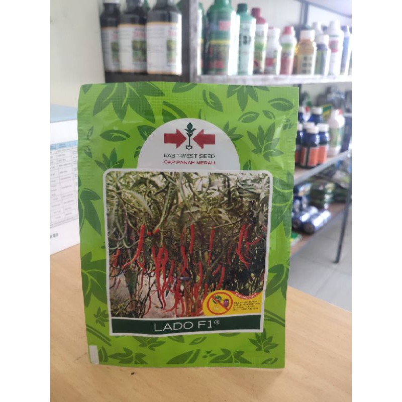 benih cabai keriting lado