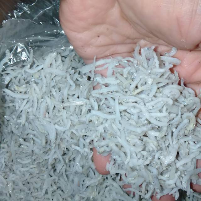 

Ikan Teri nasi Medan