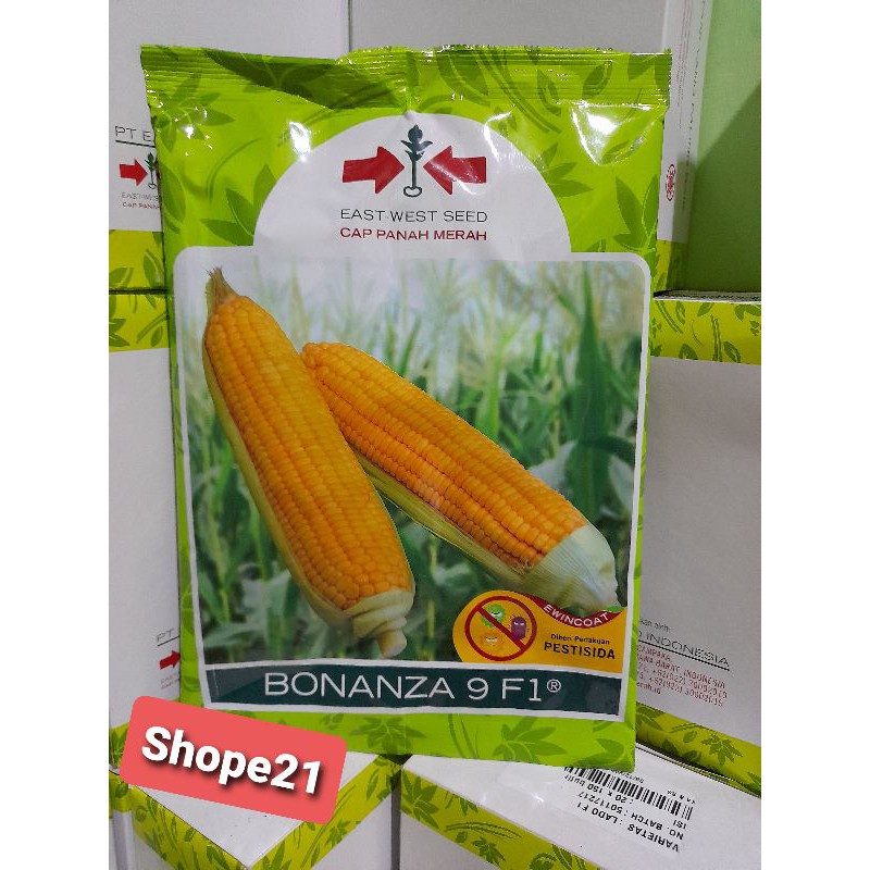 Benih Jagung Manis Bonanza 9 f1 isi 1800 biji