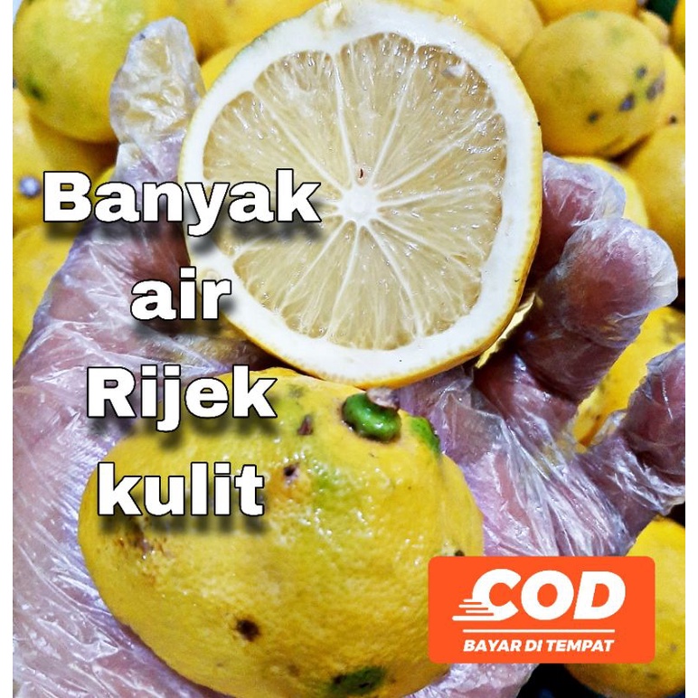 

LEMON CALIFORNIA (SISA SORTIR) 1 KG MURAH JAKARTA BARAT + FRESH + BANYAK AIR