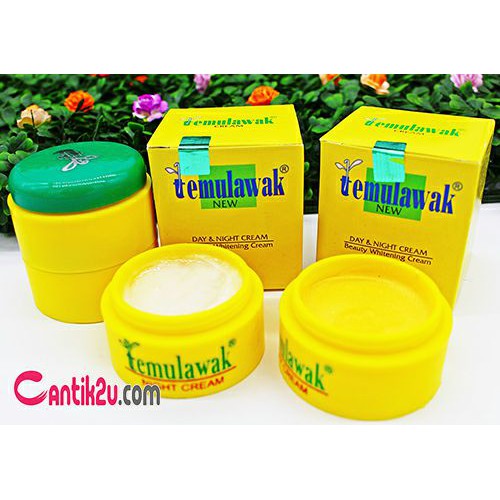 Temulawak Cream Original - Cream day and night (siang dan malam) Temulawak Asli