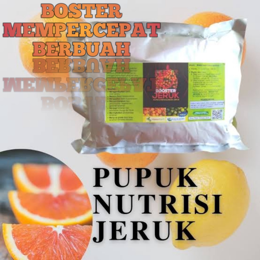 Booster pupuk bibit jeruk agar bisa berbuah dengan buah lebatcepat dan ber