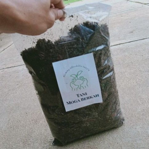 Media Tanam Aglonema Bunga Tanaman Super Fermentasi Tanpa Tanah Media Subur Metan 100% ASLI