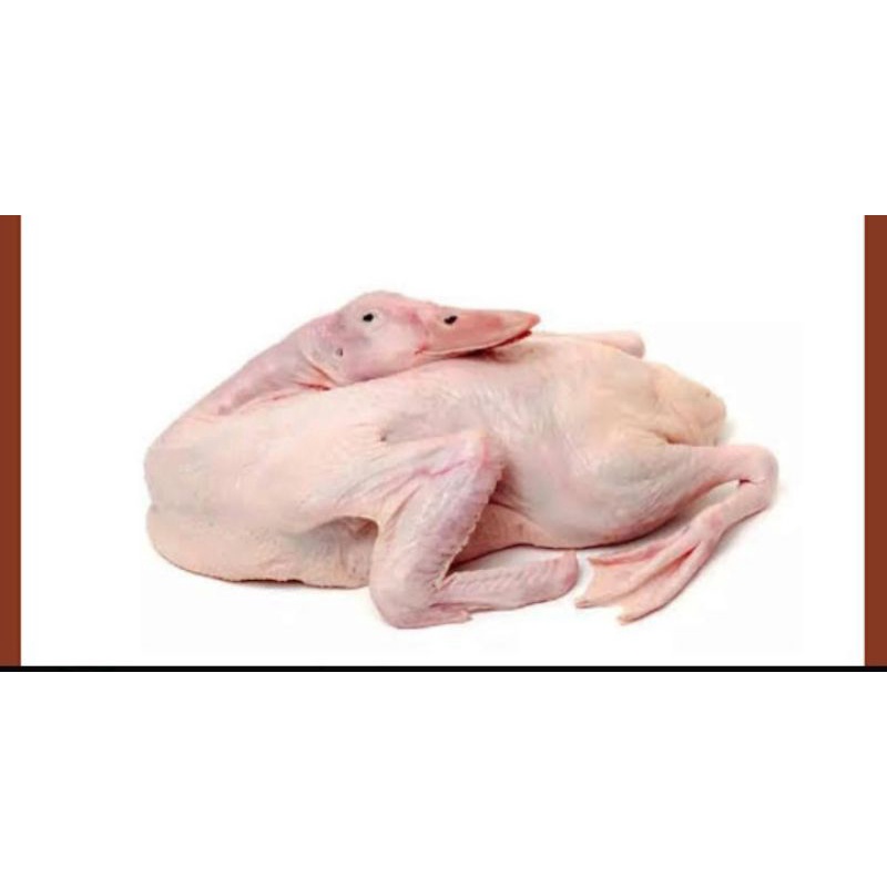 

Bebek muda frozen 1kg /bebek frozen/Daging Bebek UK 1,0kg