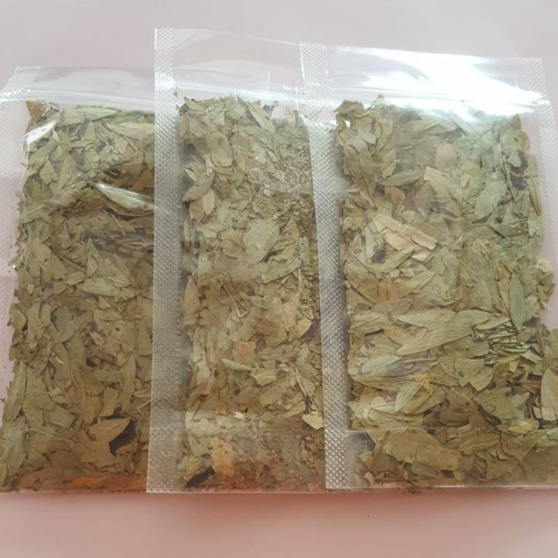 

Teh pelangsing daun jati cina