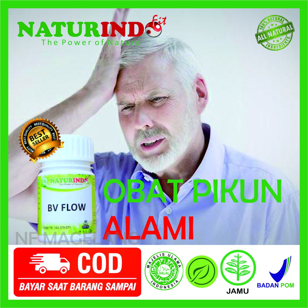 OBAT HERBAL mudah lupa ingatan faktor usia kerusakan sel otak infeksi otak amnesia jangka pendek