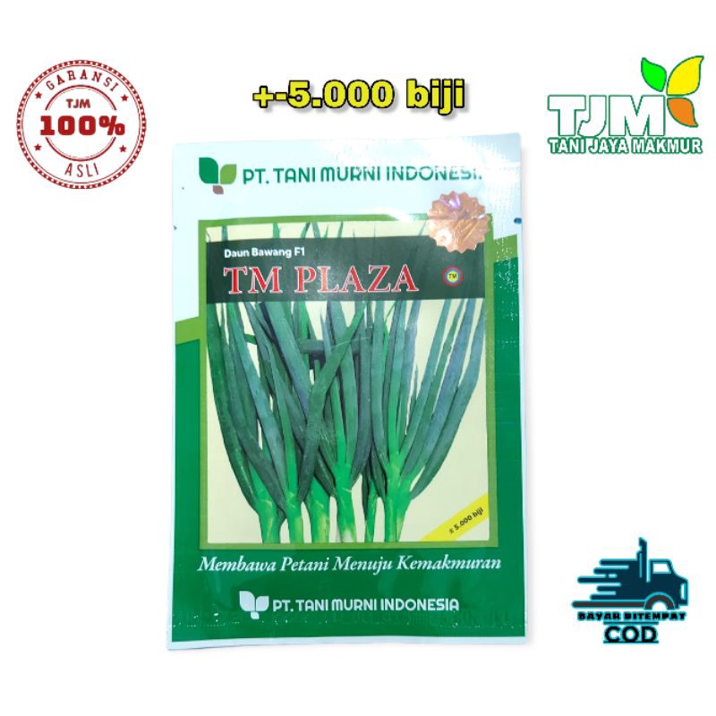 TM PLAZA +-5000 BIJI/bibit bawang daun super/benih bawang daun/biji bawang daun/bawang daun tani mur