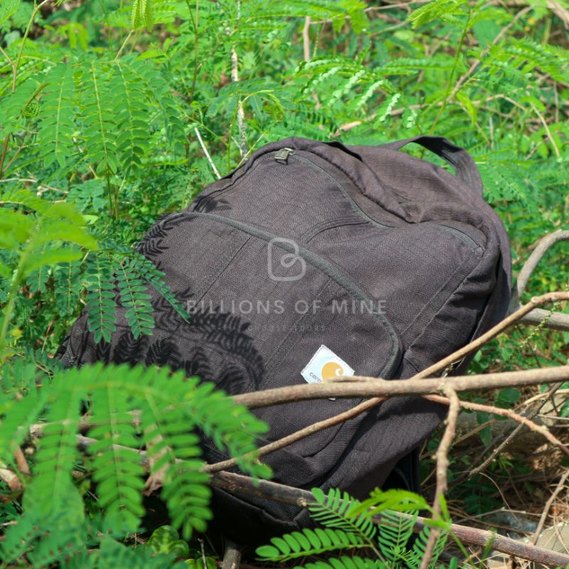Carhartt D89 Backpack