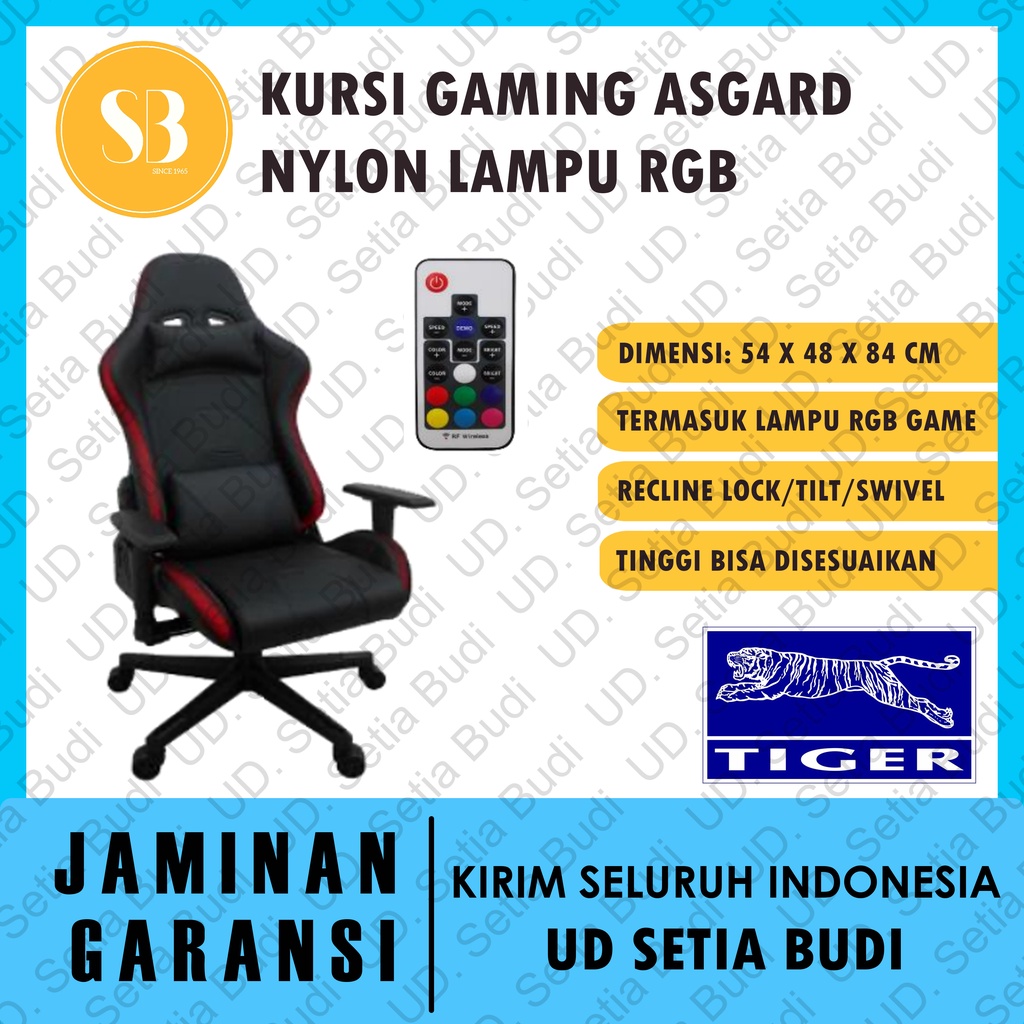 Kursi Gaming Lampu RGB Tiger Asgard