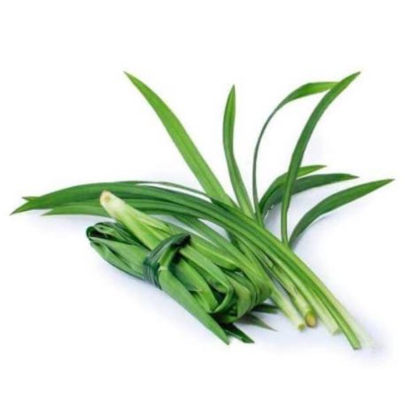 

Grosir Daun Pandan Hijau Sayur Segar Murah