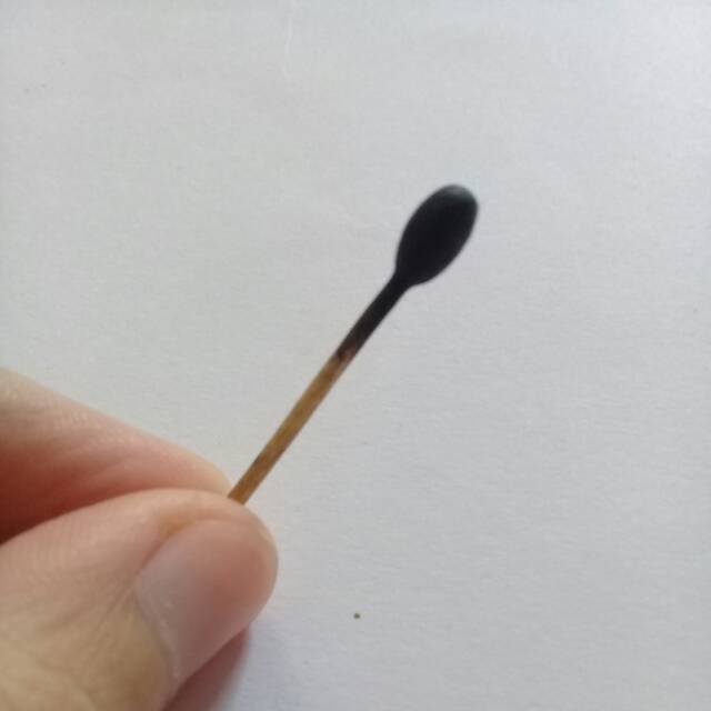 Celak, sipat tarim , hadramaut