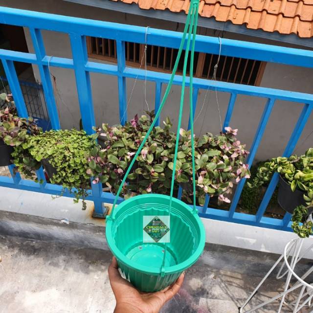 pot bunga tanaman gantung warna warni pumba 19cm