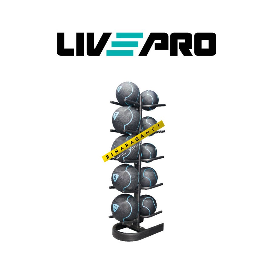 Medicine Wall Slam Ball Rack Rak 10 Bola Fitness Gym Livepro