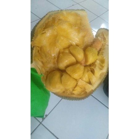 

buah cempedak manis