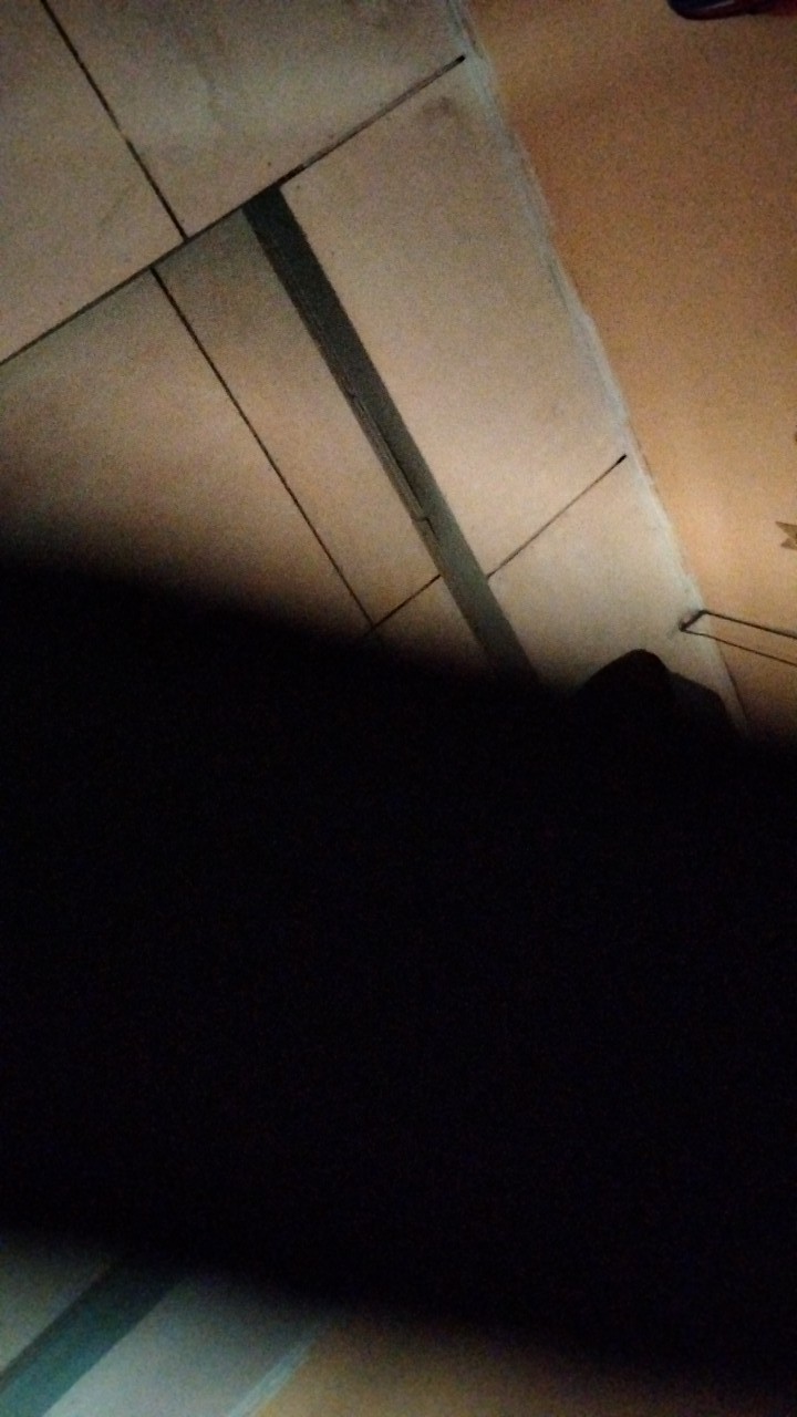 Joliecollections Raket Tepokan Lalat Alat Tepuk Lalat Penepuk Lalat