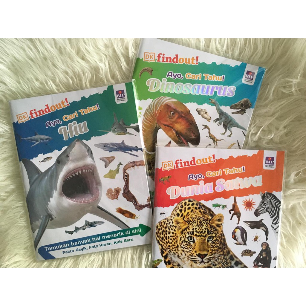 Findout Ayo, Cari Tahu 