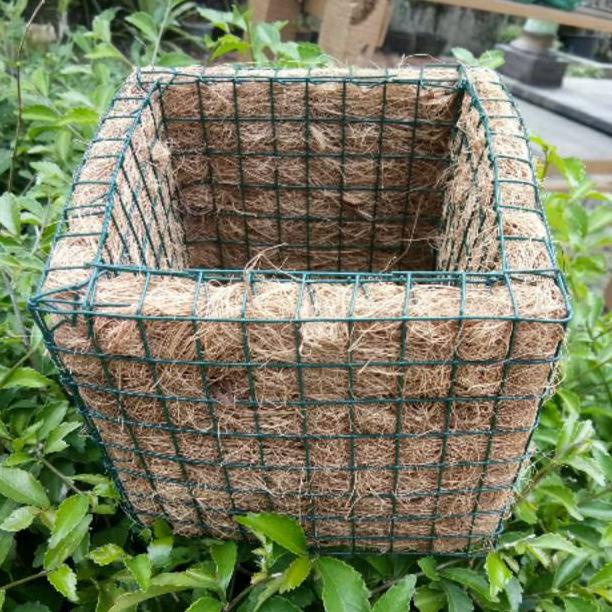 POT ANGGREK SERABUT KELAPA