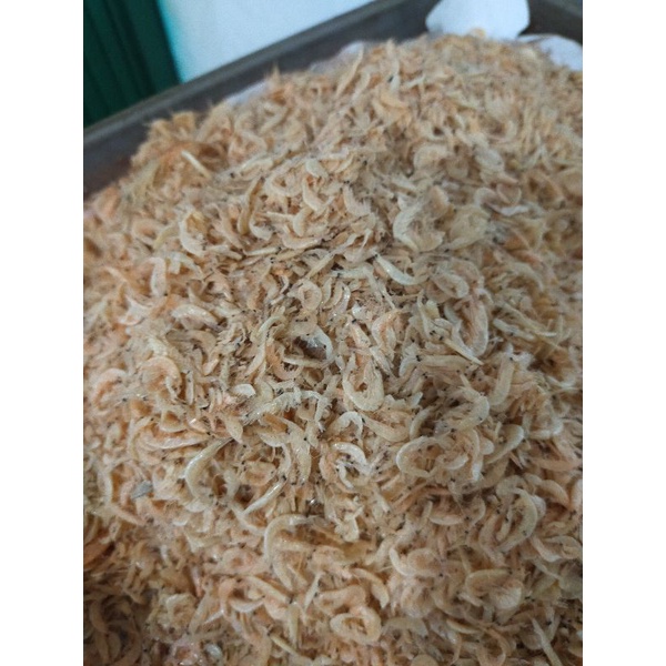 

UDANG REBON UK. SEDANG 1KG