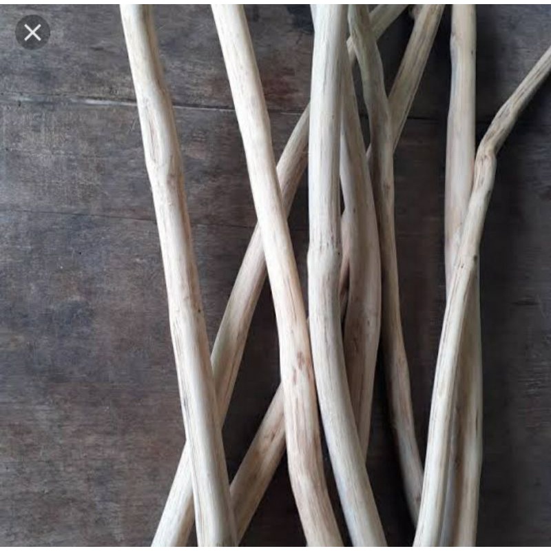 Ranting pohon kayu jati bahan dekorasi