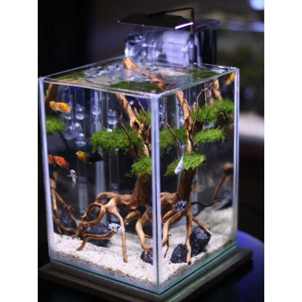 LAMPU LED HPL 6 WATT UNTUK AQUASCAPE / AQUARIUM