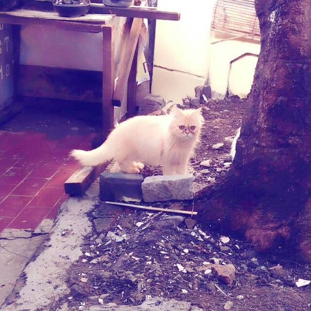 adinda_aprilitakusuma