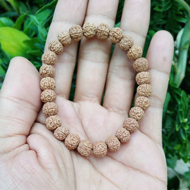 Gelang jenitri kecil rudraksha kesehatan