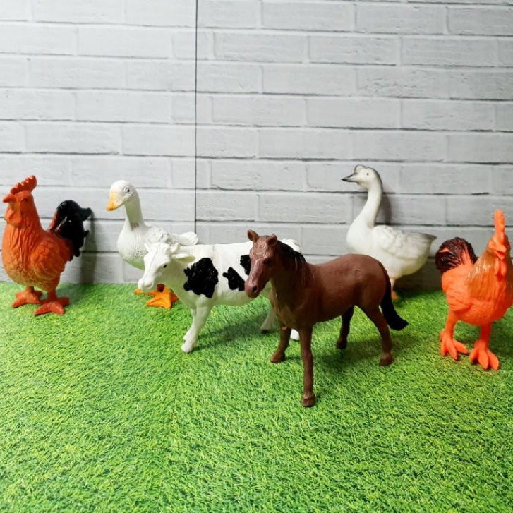 62 Gambar Hewan Ternak Unggas Gratis Terbaik