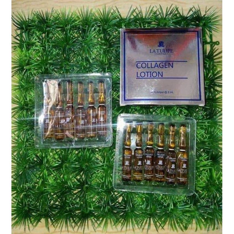 COLLAGEN LATULIP