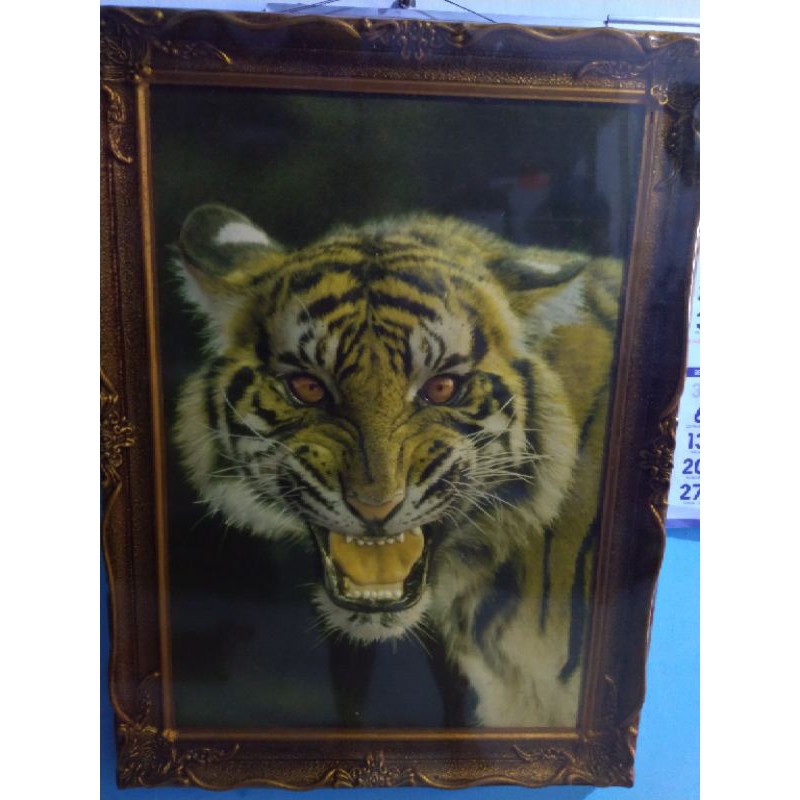 Gambar Harimau 3D + Bingkai