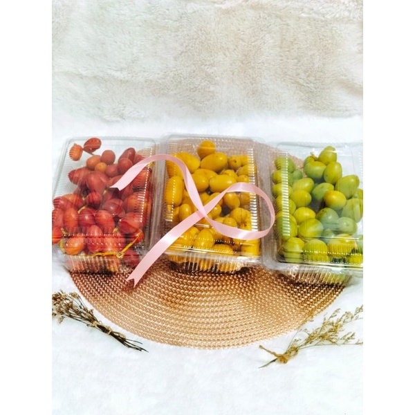 

KURMA MUDA DROSHIP