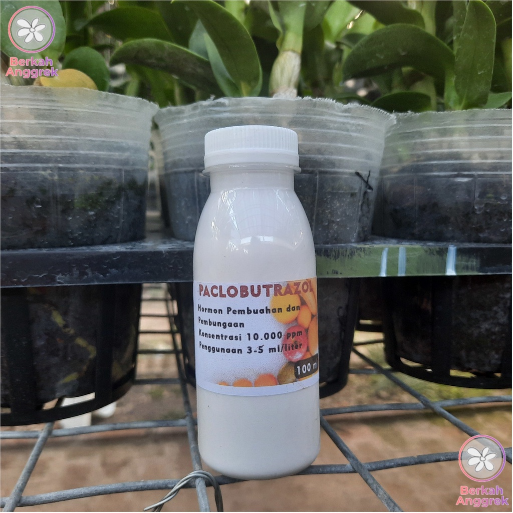 Paclobutrazol Murni 100 ml Hormon Pembuahan