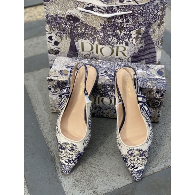 flat dior/slingback dior