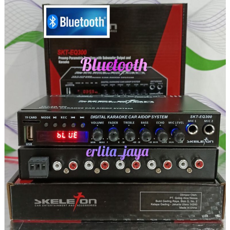 parametrik equalizer SKELETON SKT-EQ 300 bisa bluetooth terbaru