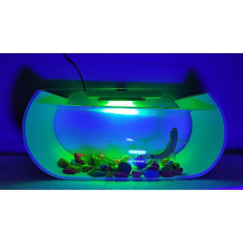 aquarium mini akrilik