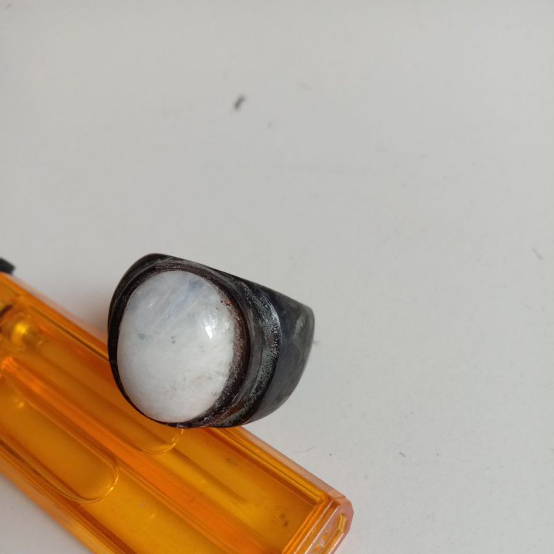 cincin tanduk sapi