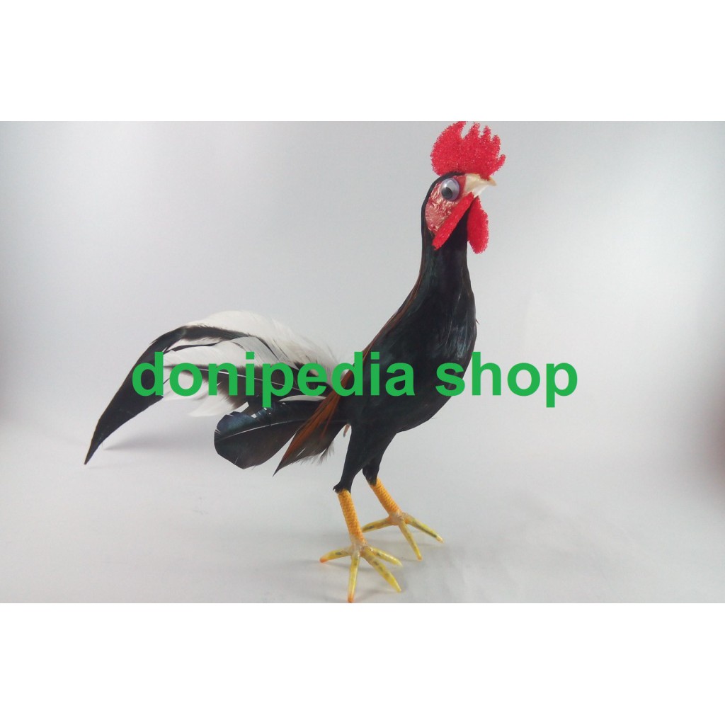 JUAL BONEKA AYAM BANGKOK MURAH Shopee Indonesia