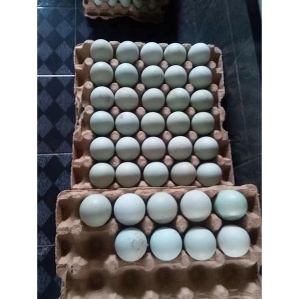 

Telur Asin