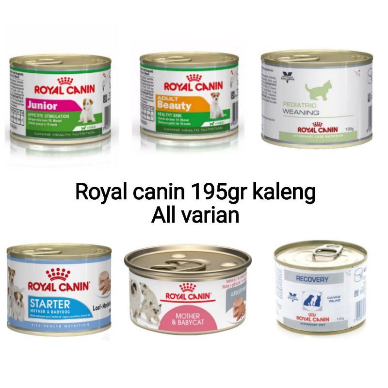 Makanan kucing royal canin kaleng 195gr All varian