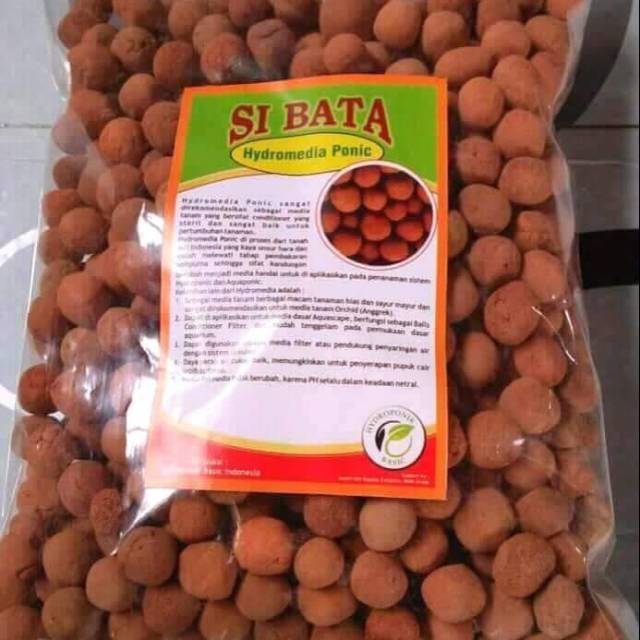 

Hydromedia sibata