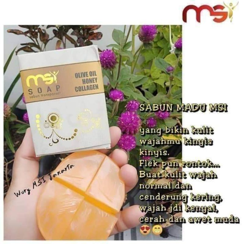 

BiosoapMSI