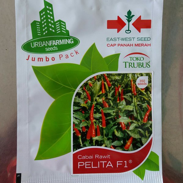 benih cabe rawit pelita f1